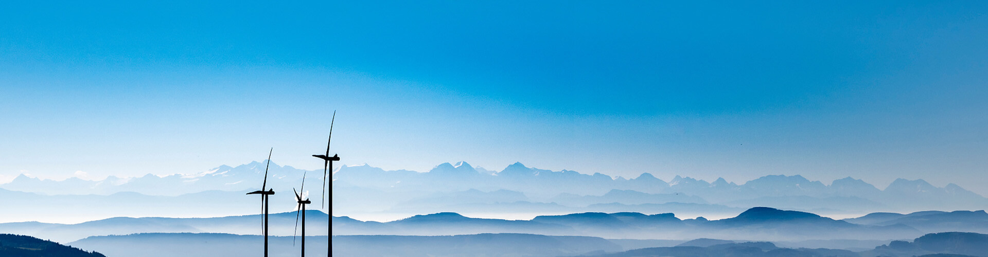 榮譽(yù)資質(zhì)